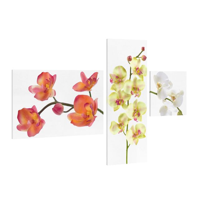 Schöne Wandbilder Orchideen Collage