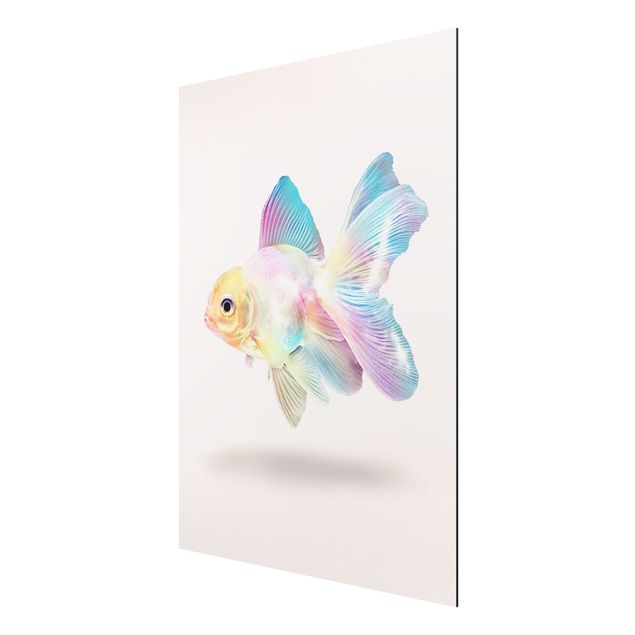 Alu Dibond Bilder Fisch in Pastell