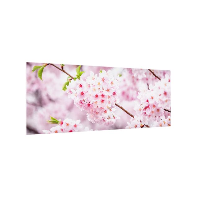 Spritzschutz Küche Japanische Kirschblüten