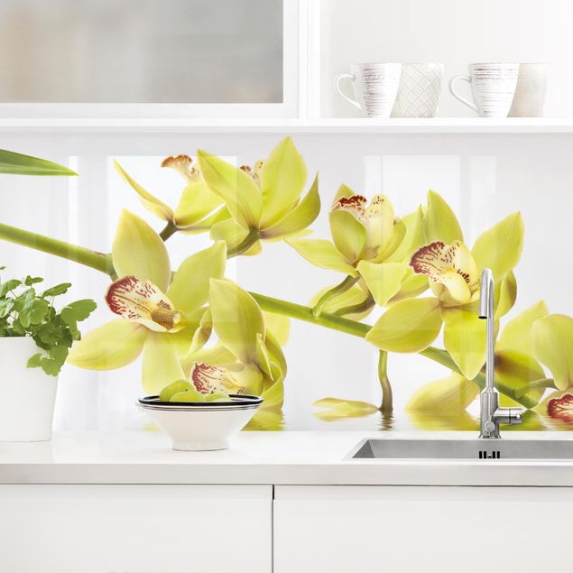 Küchenrückwände Platte Elegant Orchid Waters