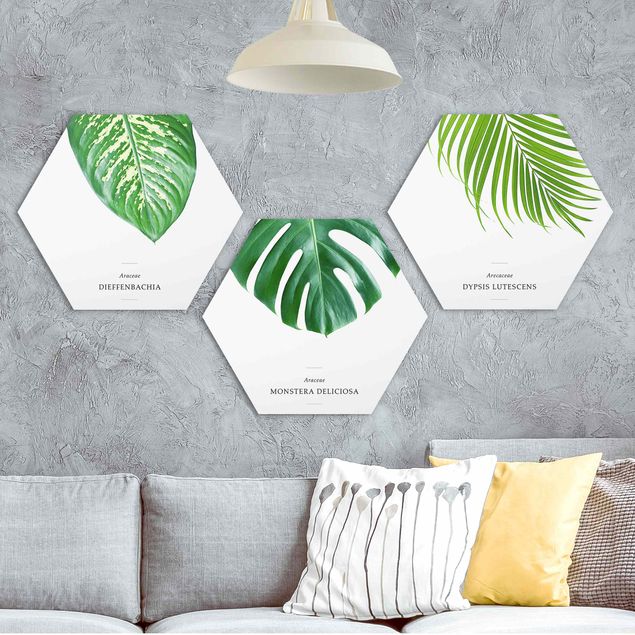 Bilder für die Wand Tropische Blätter
