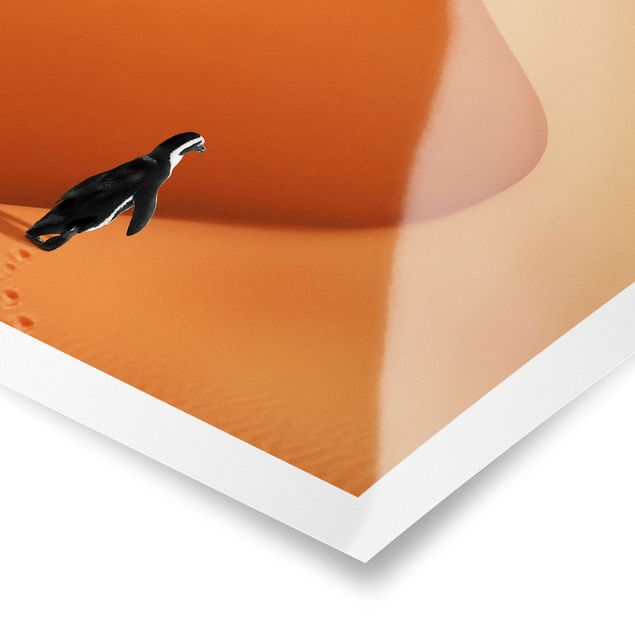 Bilder für die Wand Wüste mit Pinguin