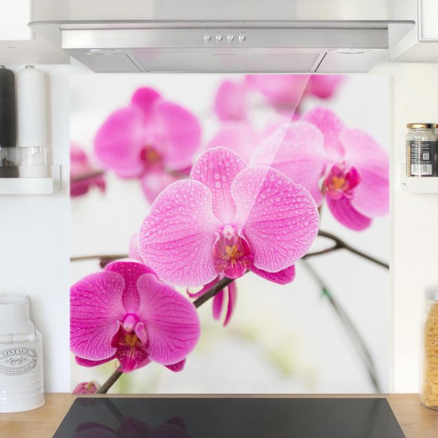 Spritzschutz Glas magnetisch Nahaufnahme Orchidee