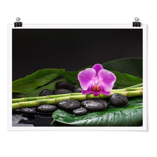 Poster - Grüner Bambus mit Orchideenblüte - Querformat 3:4