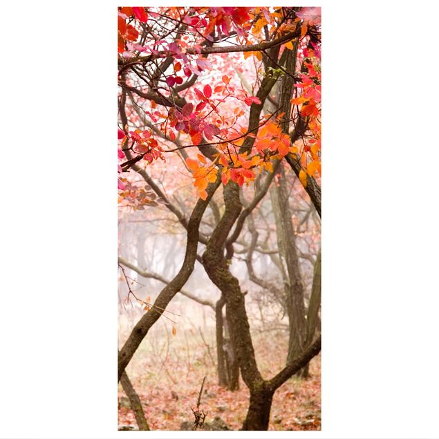 Raumteiler - Japan im Herbst 250x120cm