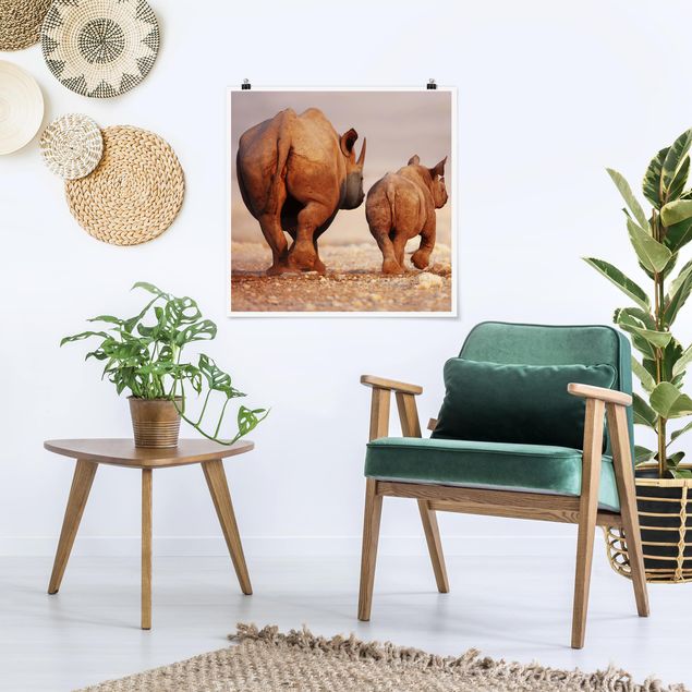Wandbilder Tiere Wandering Rhinos