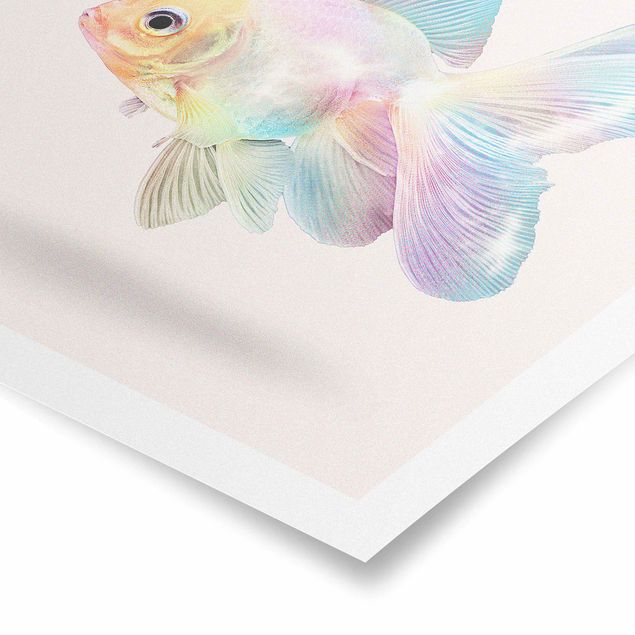 Schöne Wandbilder Fisch in Pastell