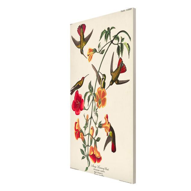 Magnettafel Blumen Vintage Lehrtafel Mango Kolibris