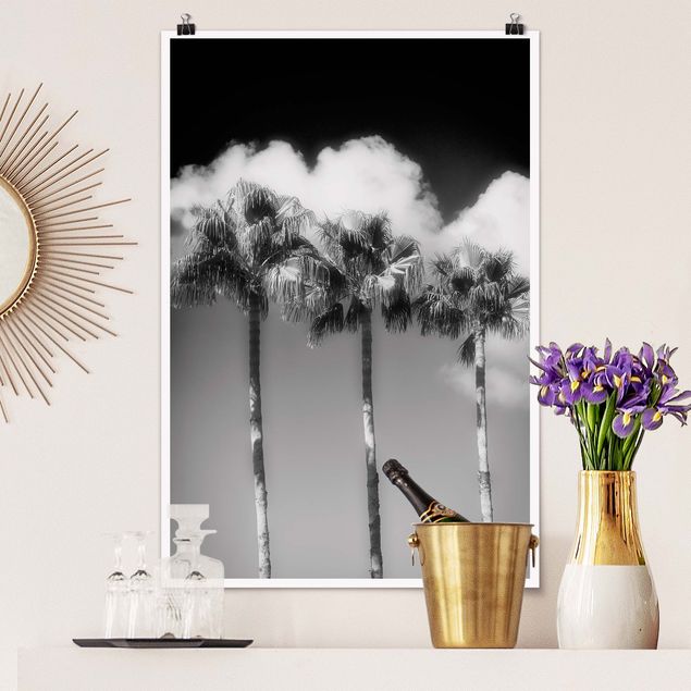 Poster Blumen Palmen vor Himmel Schwarz-Weiß