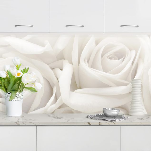 Küchenrückwände Platte Weiße Rosen