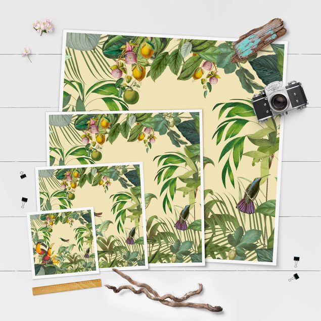 Poster - Vintage Collage - Vögel im Dschungel - Quadrat 1:1