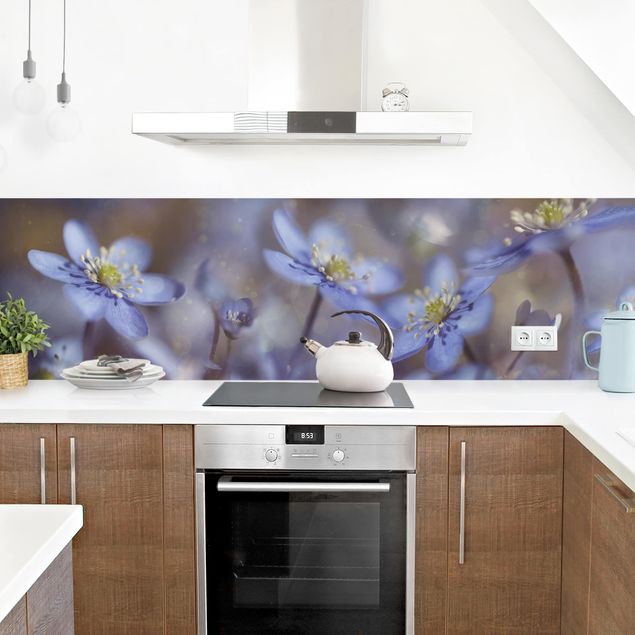 Küchenrückwand Glas Motiv Blumen Anemonen in Blau