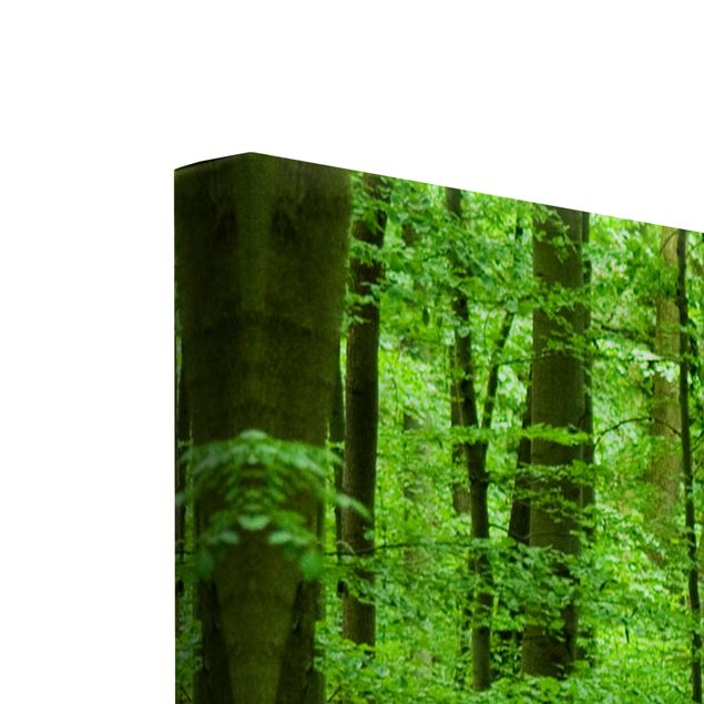 Leinwandbild 3-teilig - Romantischer Waldweg - Galerie Triptychon