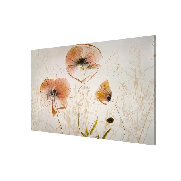 Bilder für die Wand Getrocknete Mohnblüten mit zarten Gräsern