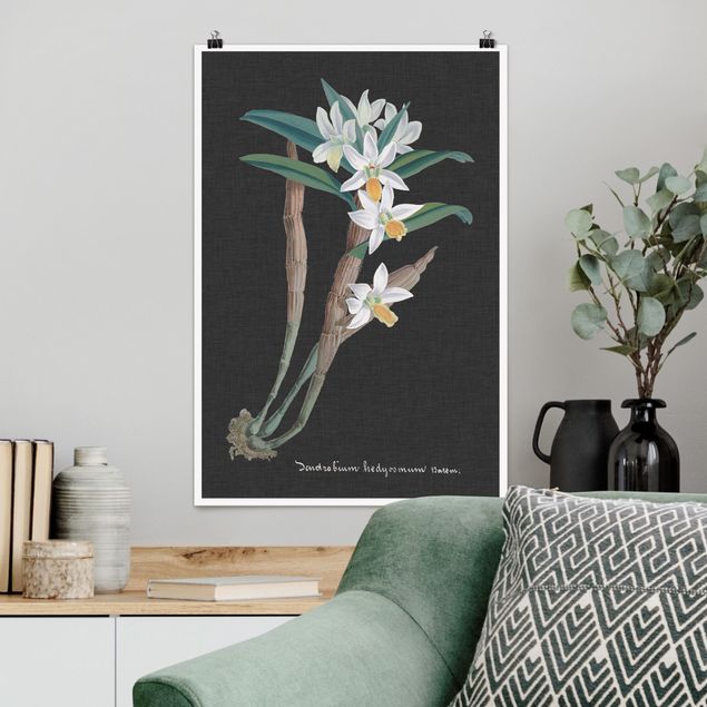 Poster Blumen Weiße Orchidee auf Leinen I