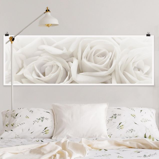 Poster Blumen Weiße Rosen