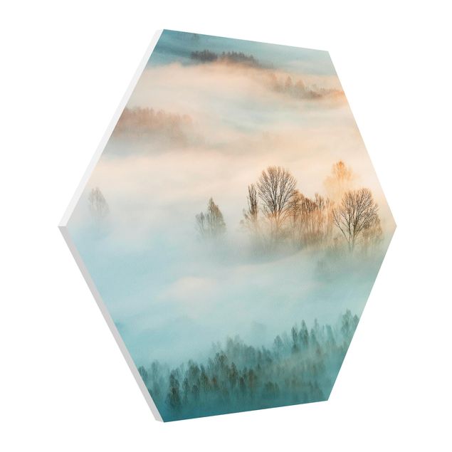 Hexagon Bild Forex - Nebel bei Sonnenaufgang