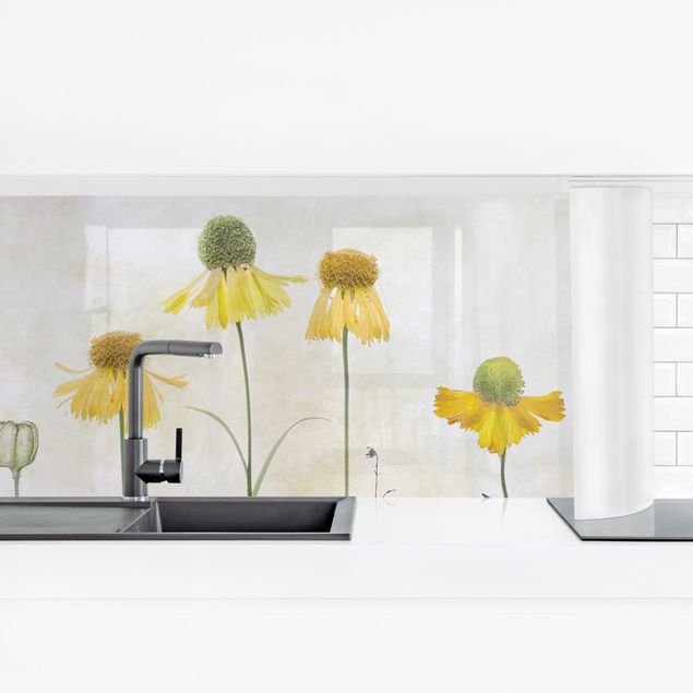 Küchenrückwand Folie Blumen Zarte Helenium Blüten