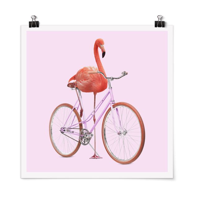 Poster Tiere Flamingo mit Fahrrad