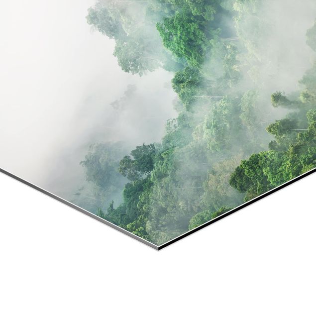 Hexagon Bild Alu-Dibond - Dschungel im Nebel