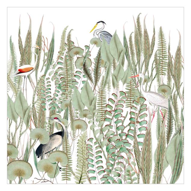 Tapete selbstklebend - Flamingo und Storch mit Pflanzen - Fototapete Querformat