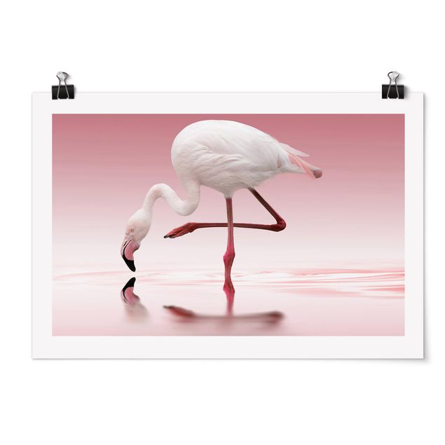 Poster - Flamingo Dance - Querformat 2:3