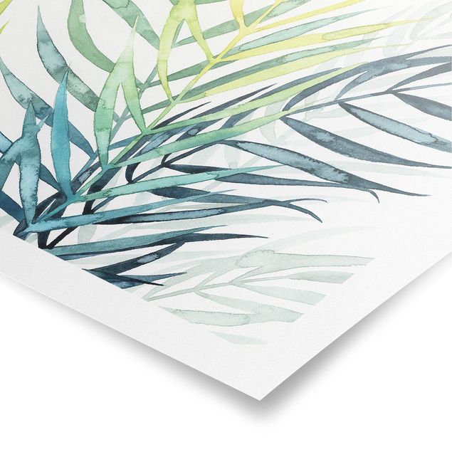 Poster - Tropisches Blattwerk - Palme - Quadrat 1:1