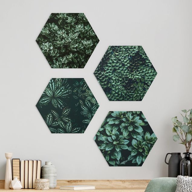 Wandbilder Grüne Blätter Set I