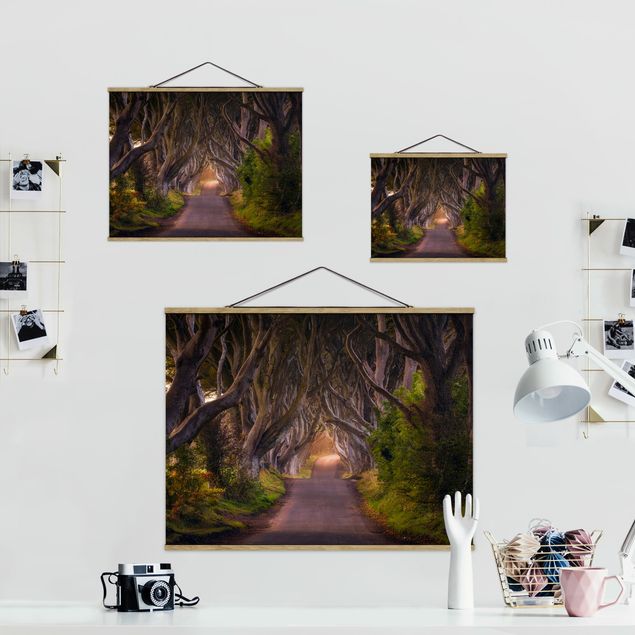 Stoffbild mit Posterleisten - Tunnel aus Bäumen - Querformat 4:3