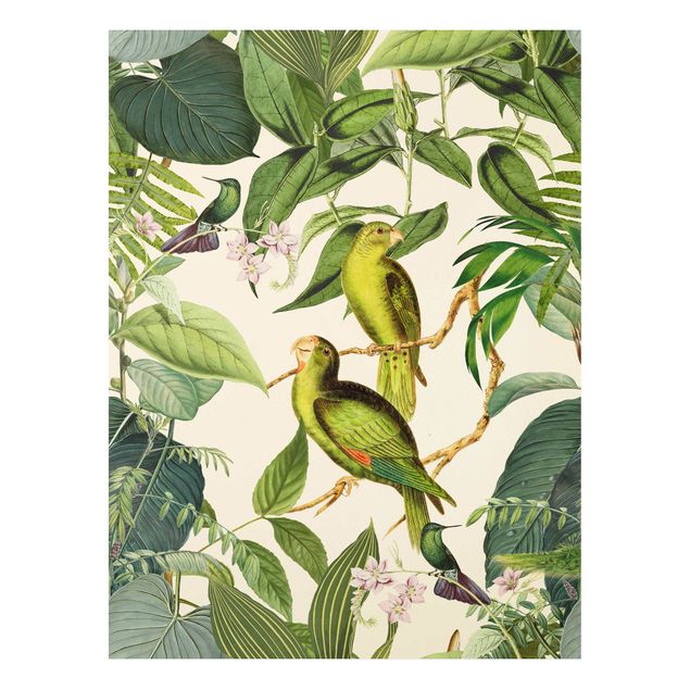 Forex Bilder Vintage Collage - Papageien im Dschungel