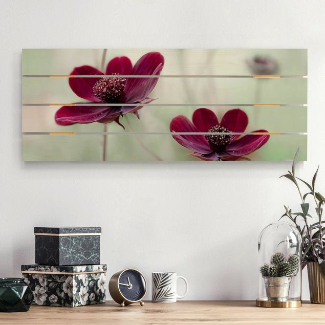 Holzbilder mit Blumen Pinke Kosmeen