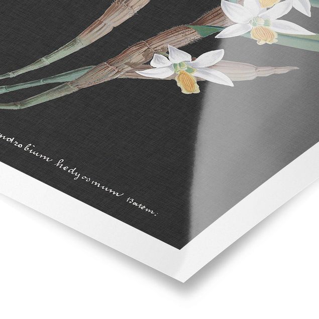 Poster - Weiße Orchidee auf Leinen I - Hochformat 3:2