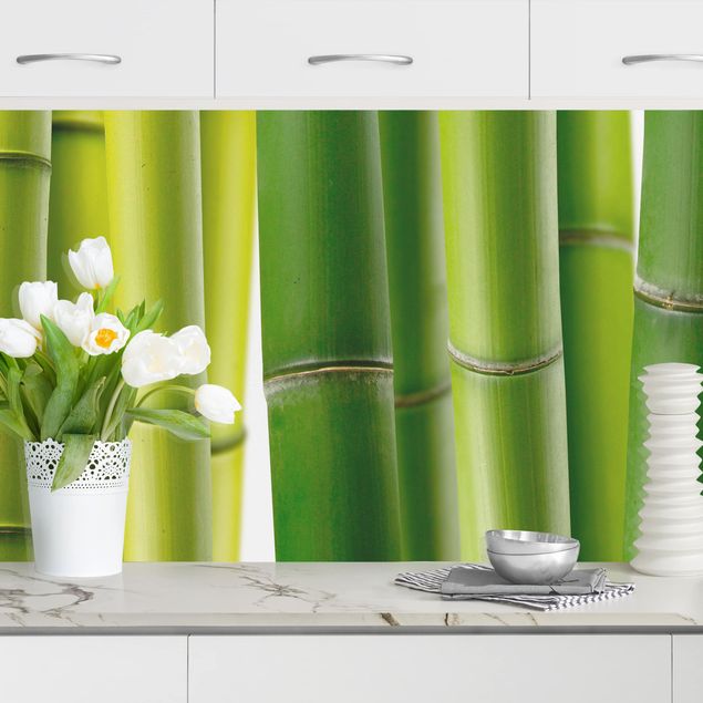 Küchenrückwände Platte Bambuspflanzen II