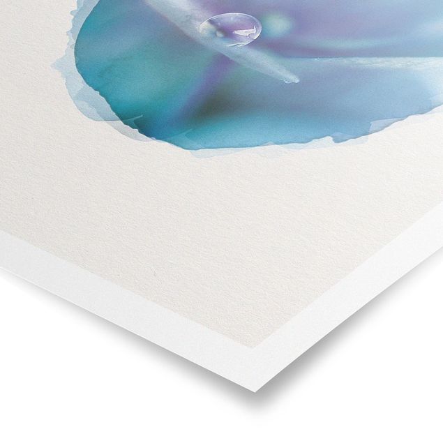Poster - Wasserfarben - Wassertropfen Hortensienblüte - Hochformat 4:3