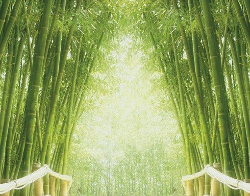 Fliesenbild - Bamboo Way