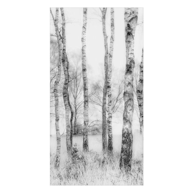 Duschrückwand - Mystischer Birkenwald Schwarz-weiß
