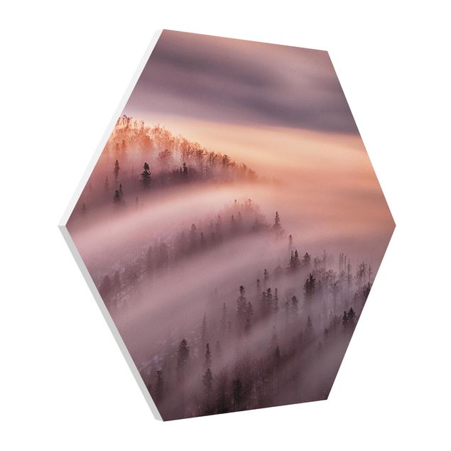 Hexagon Bild Forex - Nebelflut