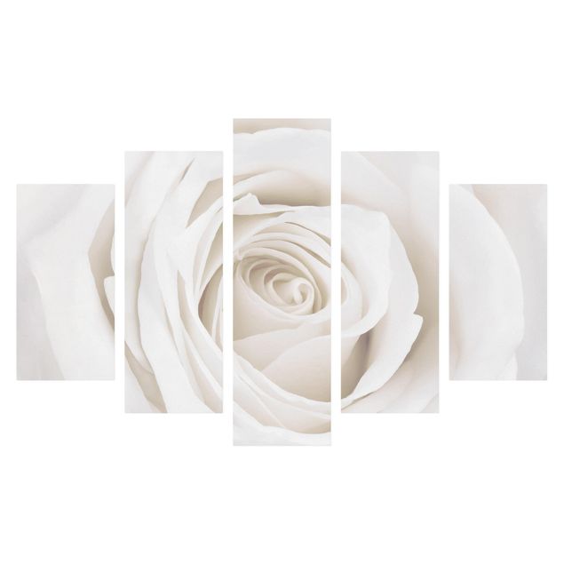 Leinwandbild 5-teilig - Pretty White Rose