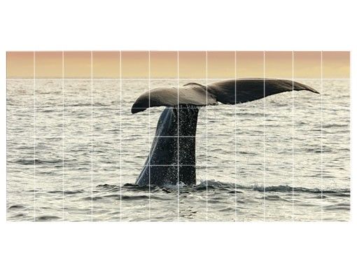 Fliesenbilder Wal beim Tauchgang
