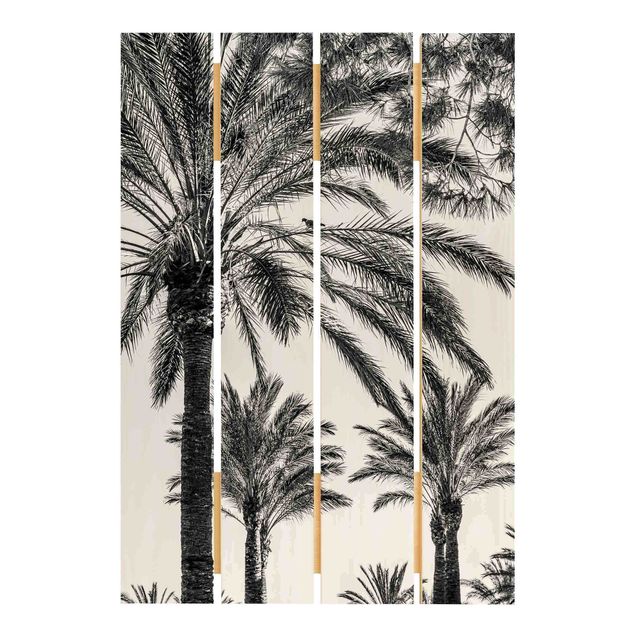 Holzbilder Palmen im Sonnenuntergang Schwarz-Weiß