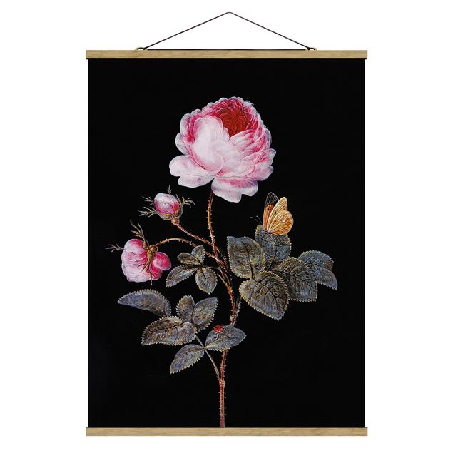 Kunstdrucke Barbara Regina Dietzsch - Die hundertblättrige Rose