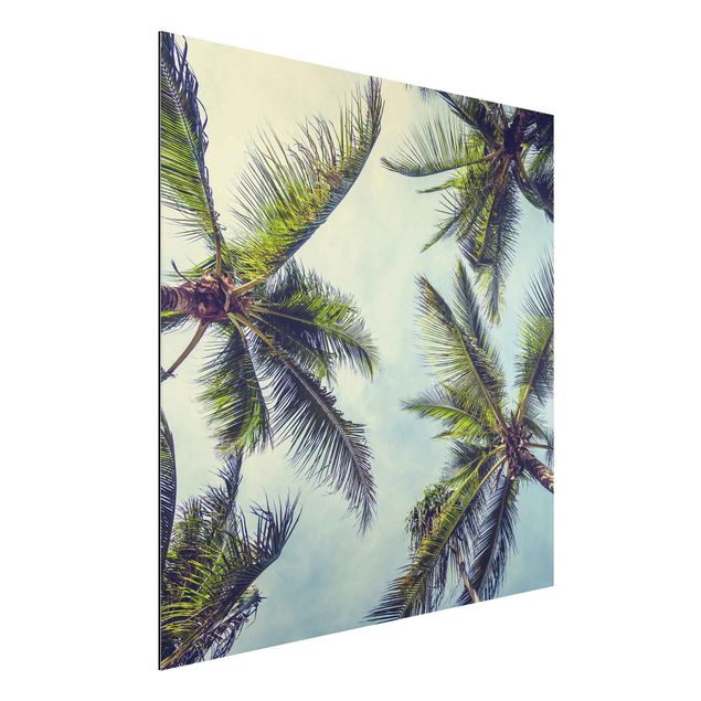 Schöne Wandbilder Die Palmen