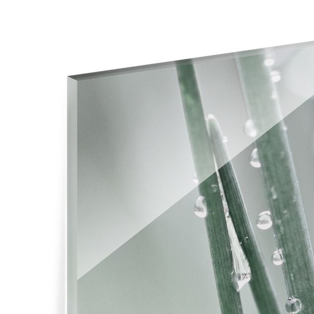 Spritzschutz Glas - Makroaufnahme Wasserperlen am Gras - Querformat 4:3