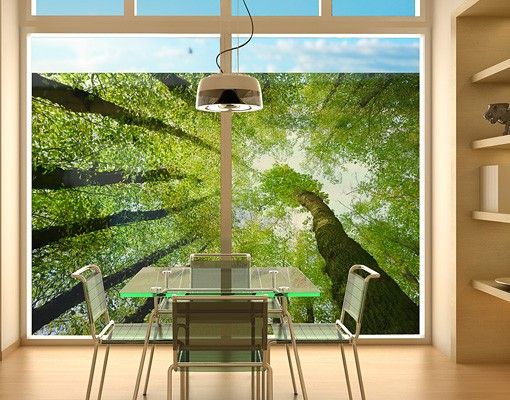 Fensterbilder Landschaft Bäume des Lebens