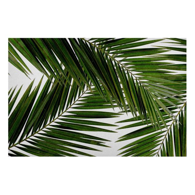 Magnettafel Blumen Blick durch grüne Palmenblätter