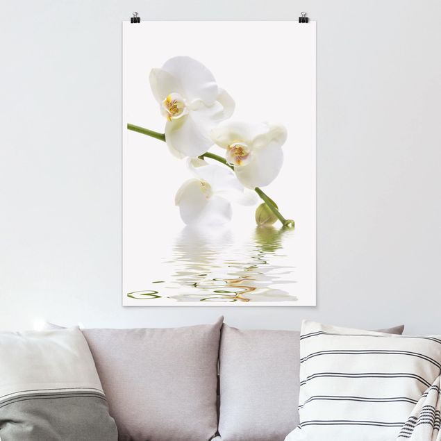 Blumenposter White Orchid Waters