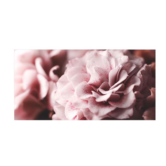 Teppich Blumen Shabby Rosa Rose Pastell