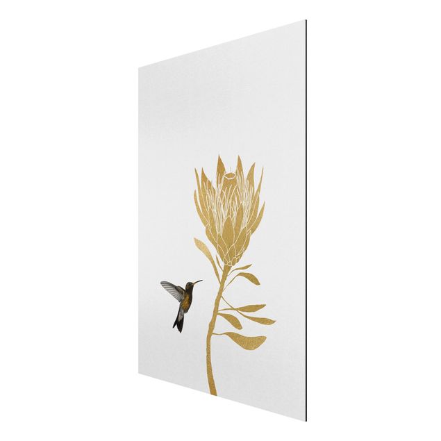 Alu Dibond Bilder Kolibri und tropische goldene Blüte