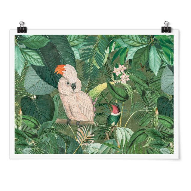 Poster Tiere Vintage Collage - Kakadu und Kolibri