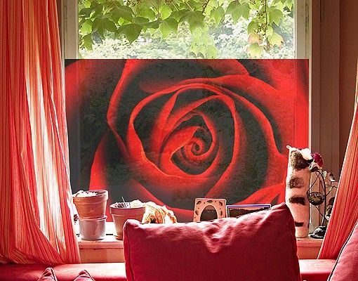 Fensterbilder selbstklebend Blumen Liebliche Rose